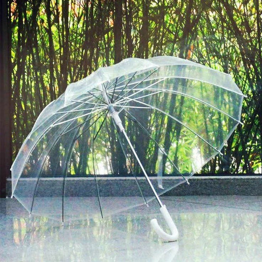 Clear Transparent Anime Style Umbrella