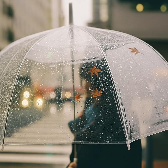 Clear Transparent Anime Style Umbrella