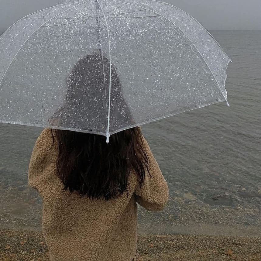 Clear Transparent Anime Style Umbrella